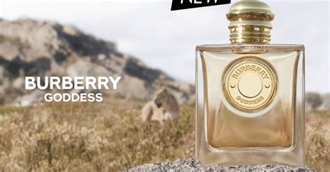 burberry godness perfume|burberry goddess perfume samples.